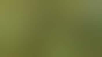 Rocky Farms Wednesday – Heavy Eighth