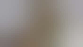 Rocky Farms 2 grams of flower deal