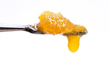 Rocky Farms Saturday – 10% Off Concentrates