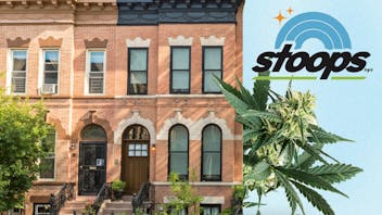 Stoops NYC FARM TO STOOP ✨