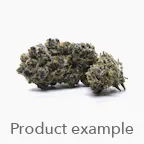 BUDDEEZ LLC