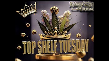 Kings of Canna TOPSHELF TUESDAY's !!