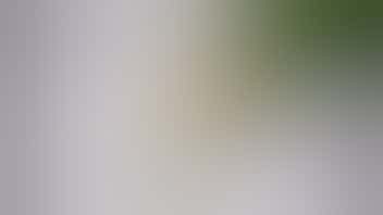 The Stoned Moose 10% off Dabs and Shatter