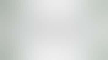 The Stoned Moose 10% off Drinks