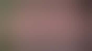 The Stoned Moose Swag and Glass Sunday - 20% Off