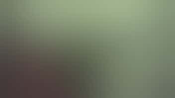 The Stoned Moose Tasty Tuesday - 10% off Edibles