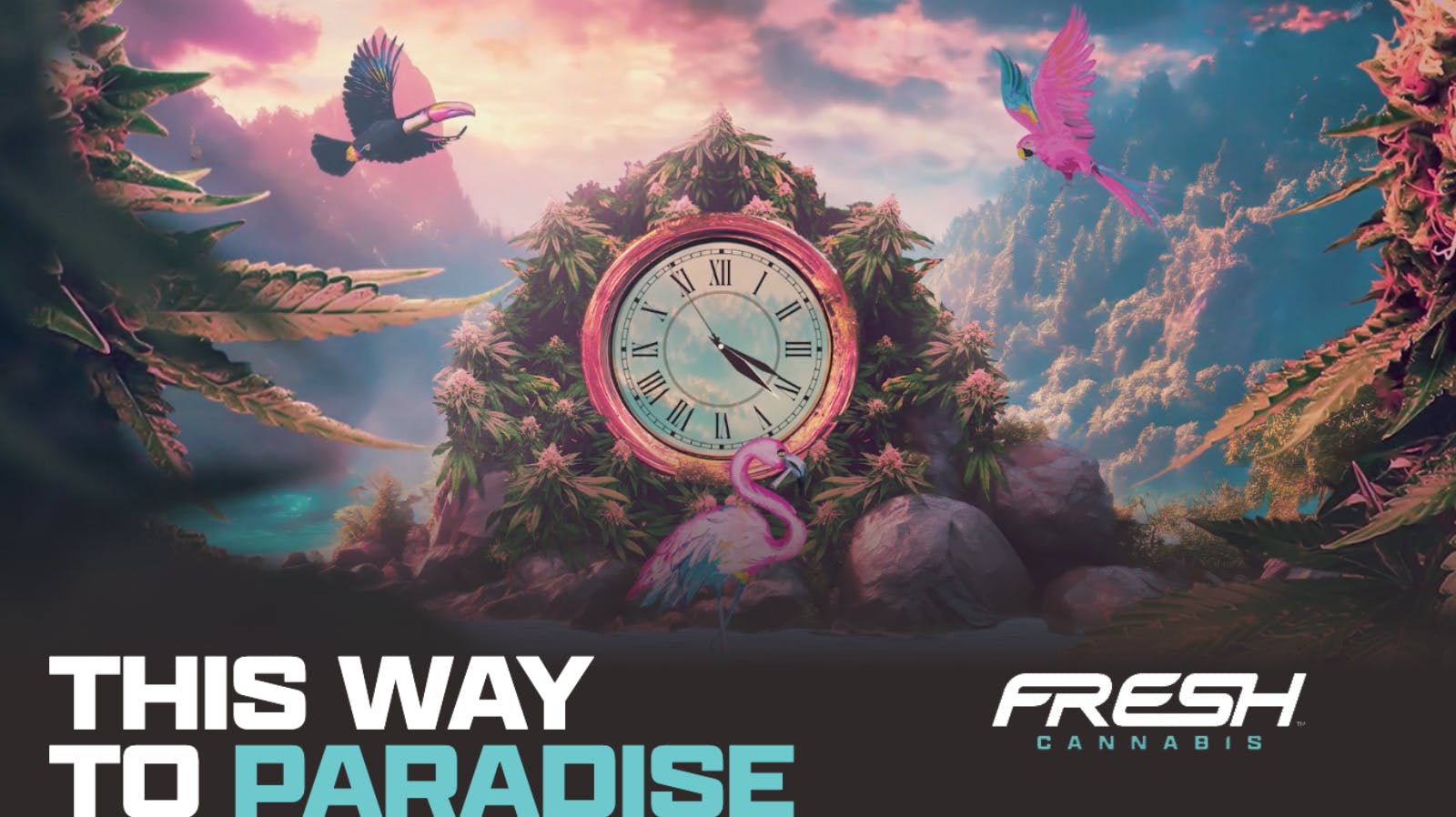 Fresh Cannabis - Seaford Fresh Deals