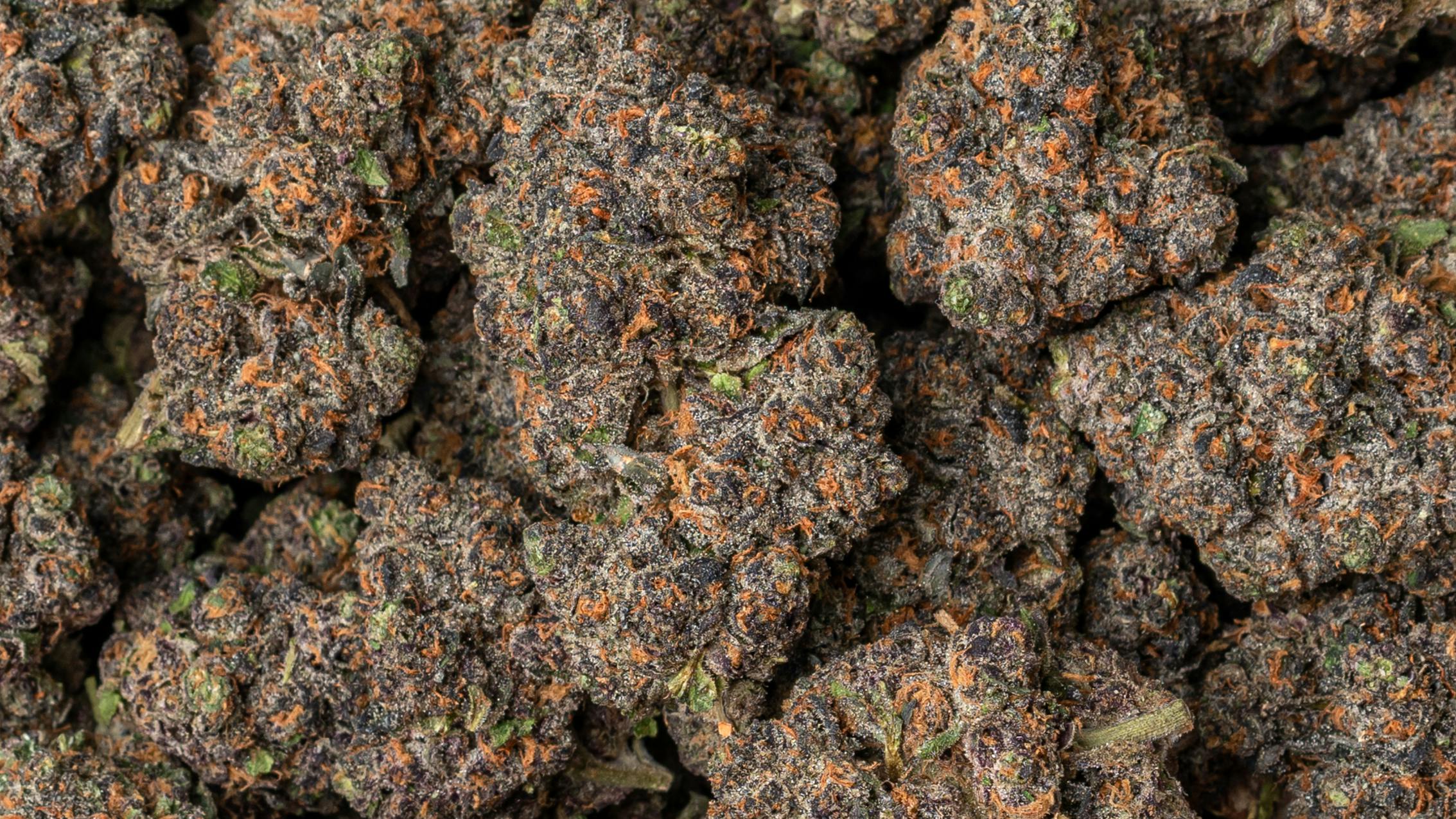 Culture South Los Angeles FLOWER FRIDAYYY