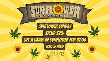 Pure Central Sunflower Sunday!