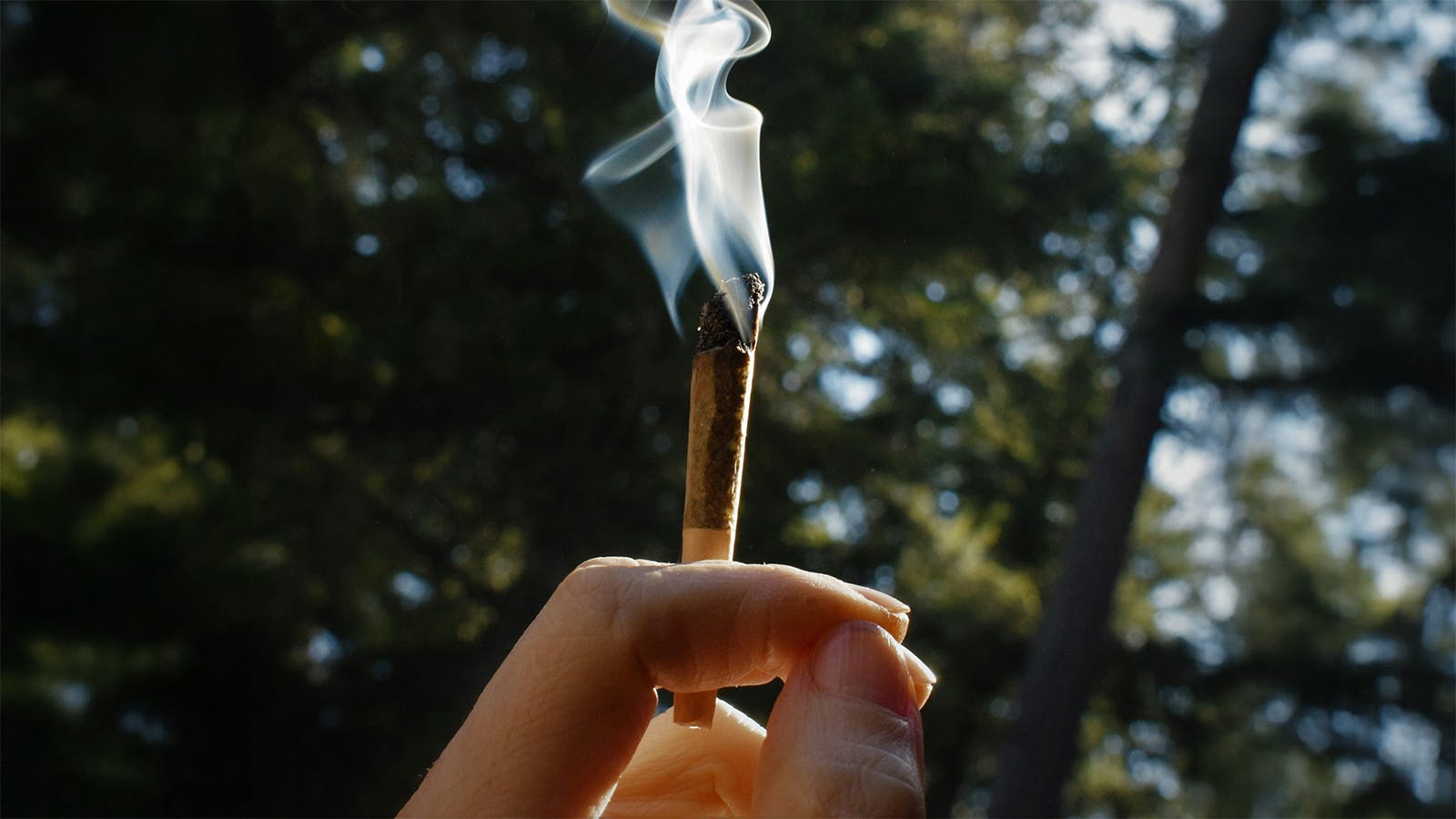 Rocky Farms Friday – Free Preroll or Joint