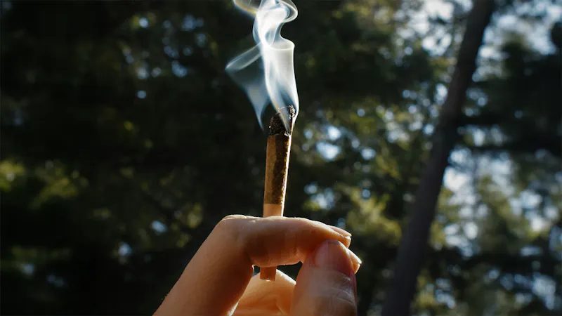 Rocky Farms Friday – Free Preroll or Joint