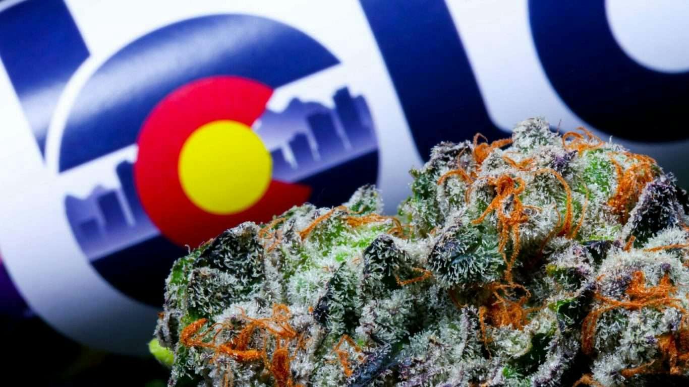 The Trust Cannabis Company MONDAY Bloom County Deal