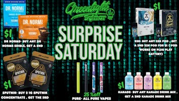 Greenlight Sylmar SURPRISE SATURDAY