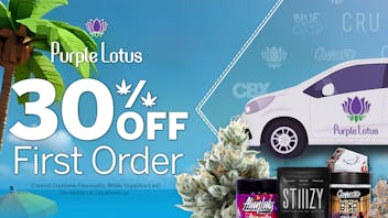 Purple Lotus - Hayward 30% Off First Delivery