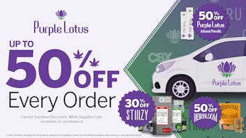 Purple Lotus - Danville Up To 50% Off Every Day!