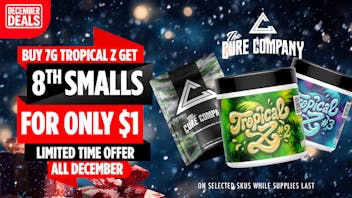 CCC by The Cure Company 🥵Tropical Z December Heat, Buy 1 Get $1 Smalls!☃️