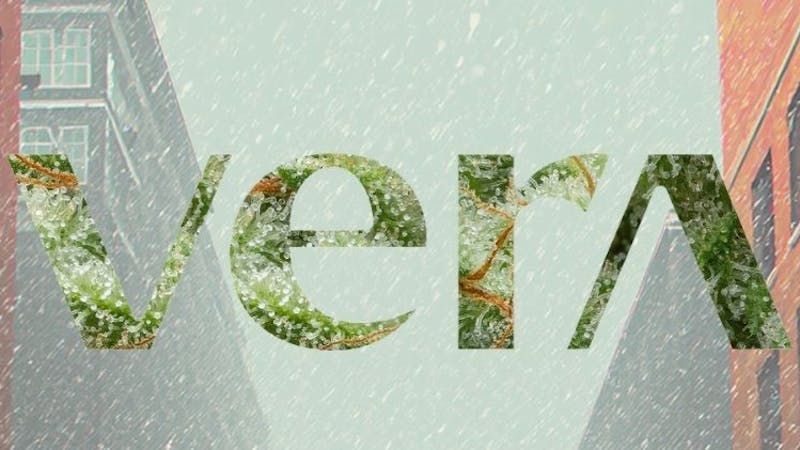 Breckenridge Organic Therapy Vera, Tical, Cheech & Chong 30% Off