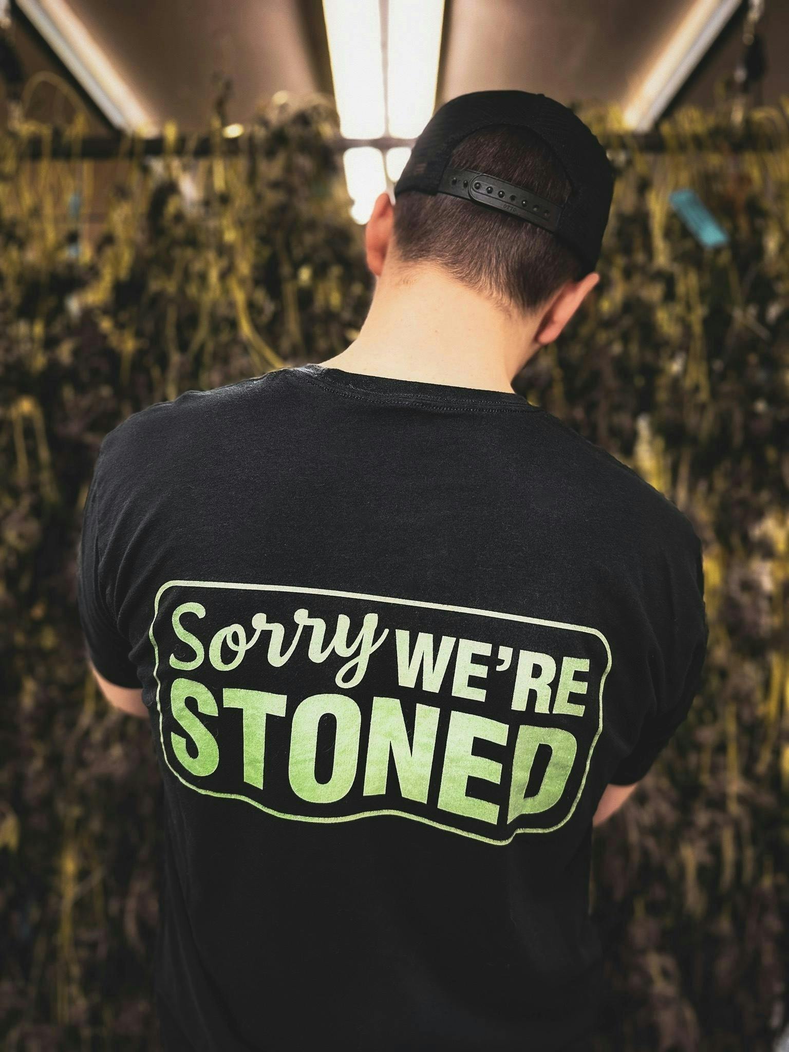 Sacramento Confidential Delivery (All Taxes Included) - Delivery Listing - Photo 3