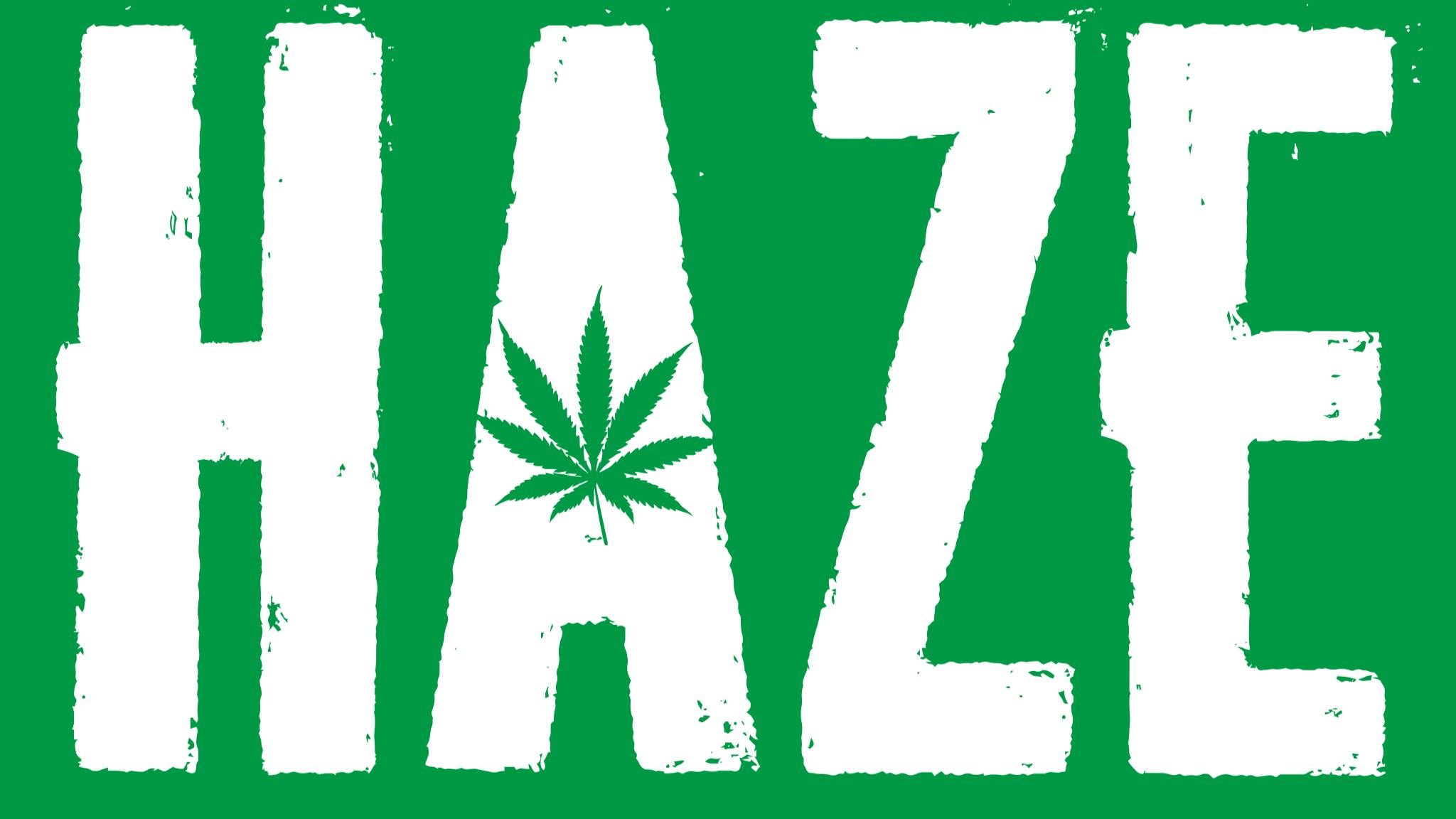 HAZE - Saratoga Ave. 20% Off Wyld Gummies