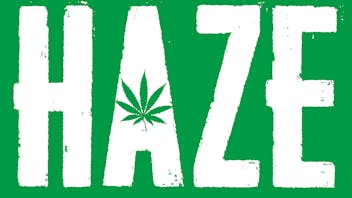 HAZE - Saratoga Ave. 30% off all Stiiizy products