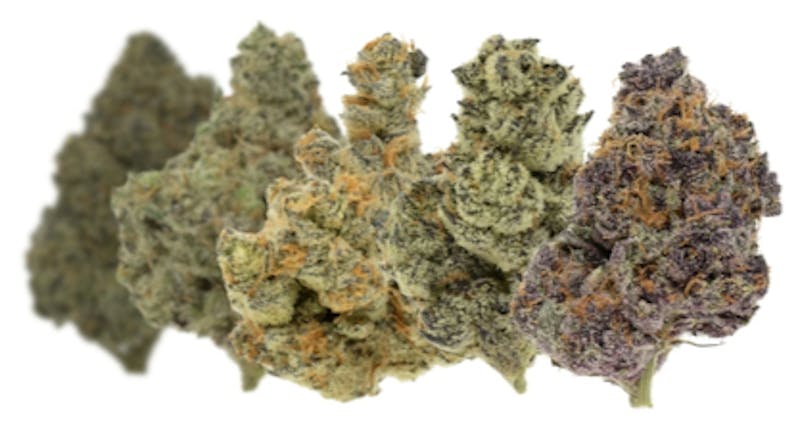 Desert Bloom Re-Leaf Center 25% OFF Premium Flower