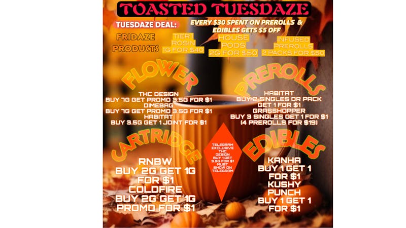 FRIDAZE - Previously Hazel TOASTED TUESDAZE