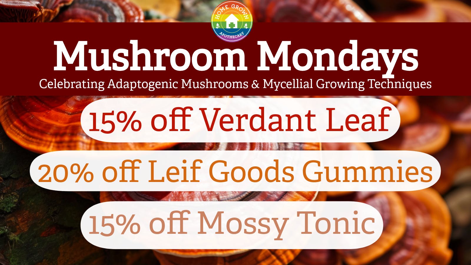 Home Grown Apothecary Mushroom Mondays!