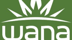 Trinidads Higher Calling U 50% OFF Wana Brands, Rec and Medical