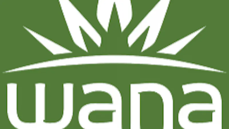 Trinidads Higher Calling U 50% OFF Wana Brands, Rec and Medical