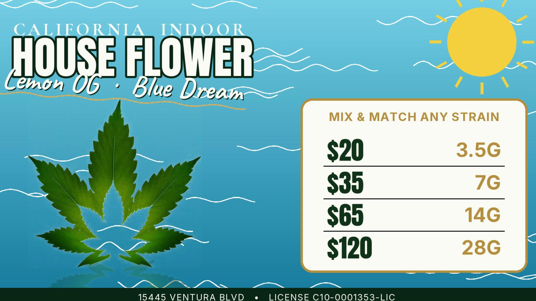 Pacific Wellness FIRST TIMERS $15 Indoor Eighth or $25 Quarter