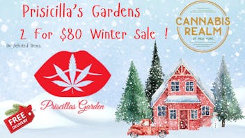 Cannabis Realm of New York - White Plains Priscilla's Garden's Winter 2 for 80$!