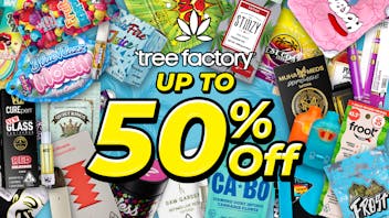 Tree Factory - Port Hueneme 50% Off Top Brands!