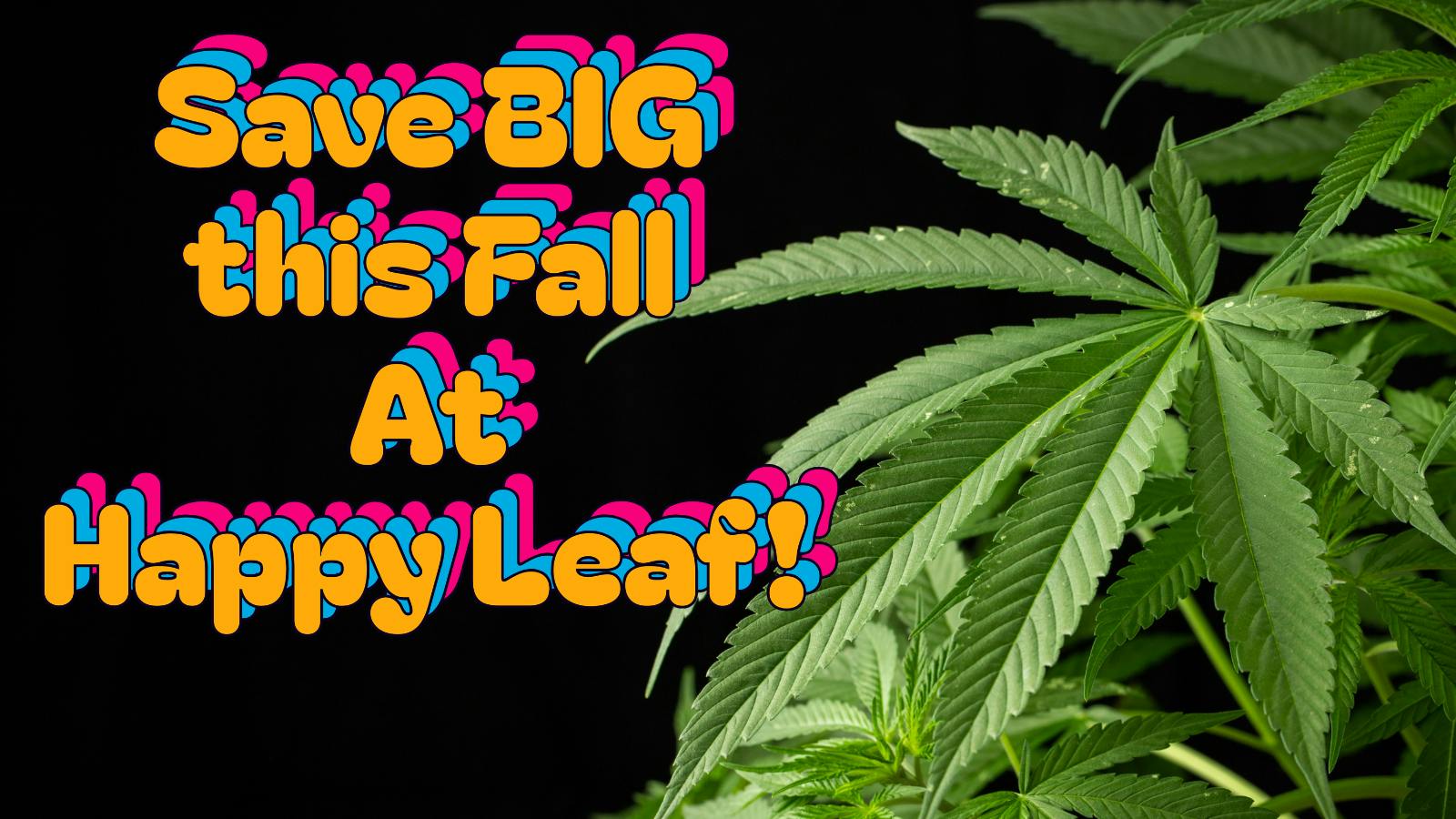 Happy Leaf $23.33 Pre tax Ounce! Fall Bulk Deals!