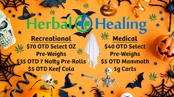 Herbal Healing - Fillmore St Scary Good Deals!!