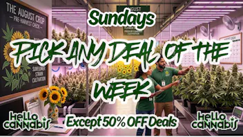 Hello Cannabis - Vista Pick A Deal Any Deal