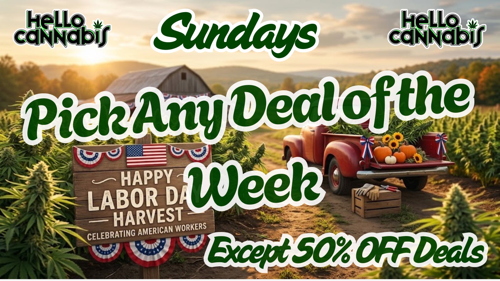 Hello Cannabis - Vista Pick A Deal Any Deal