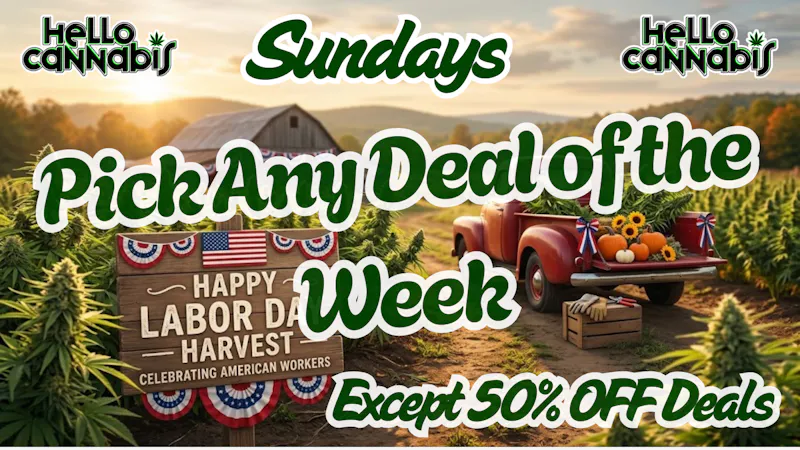 Hello Cannabis - Vista Pick A Deal Any Deal