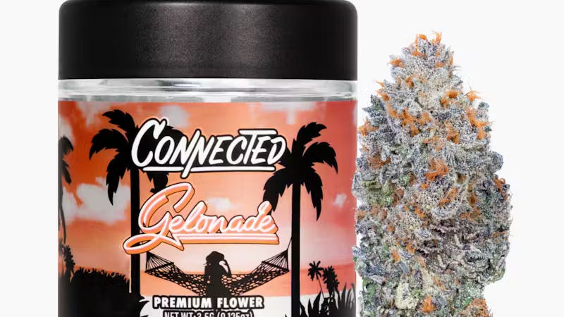 The Window AlienLabs/Connected Buy 2 get 1 Free