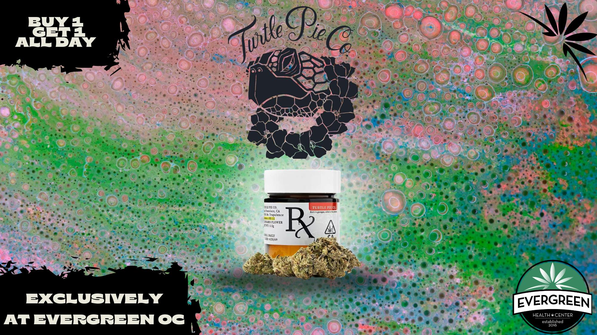 Evergreen OC Turtle Pie BOGO