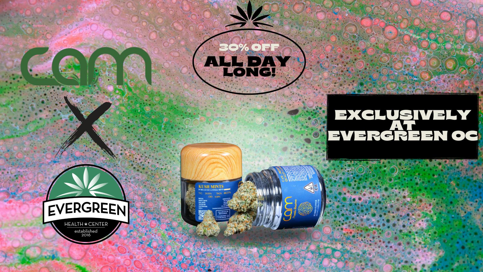 Evergreen OC ‼️30% Off Cam‼️