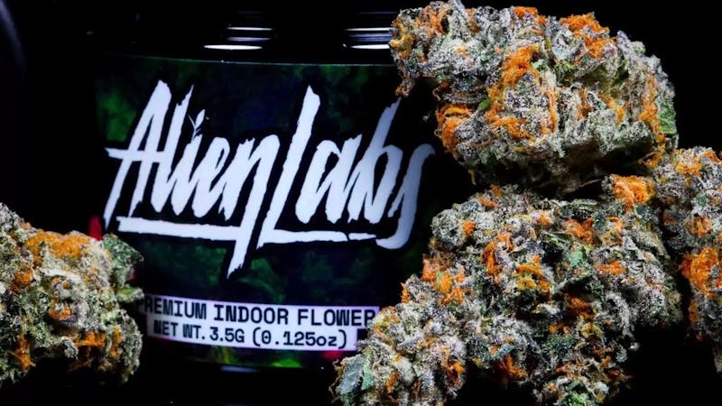 Evergreen OC ‼️30% Off Alien Labs‼️