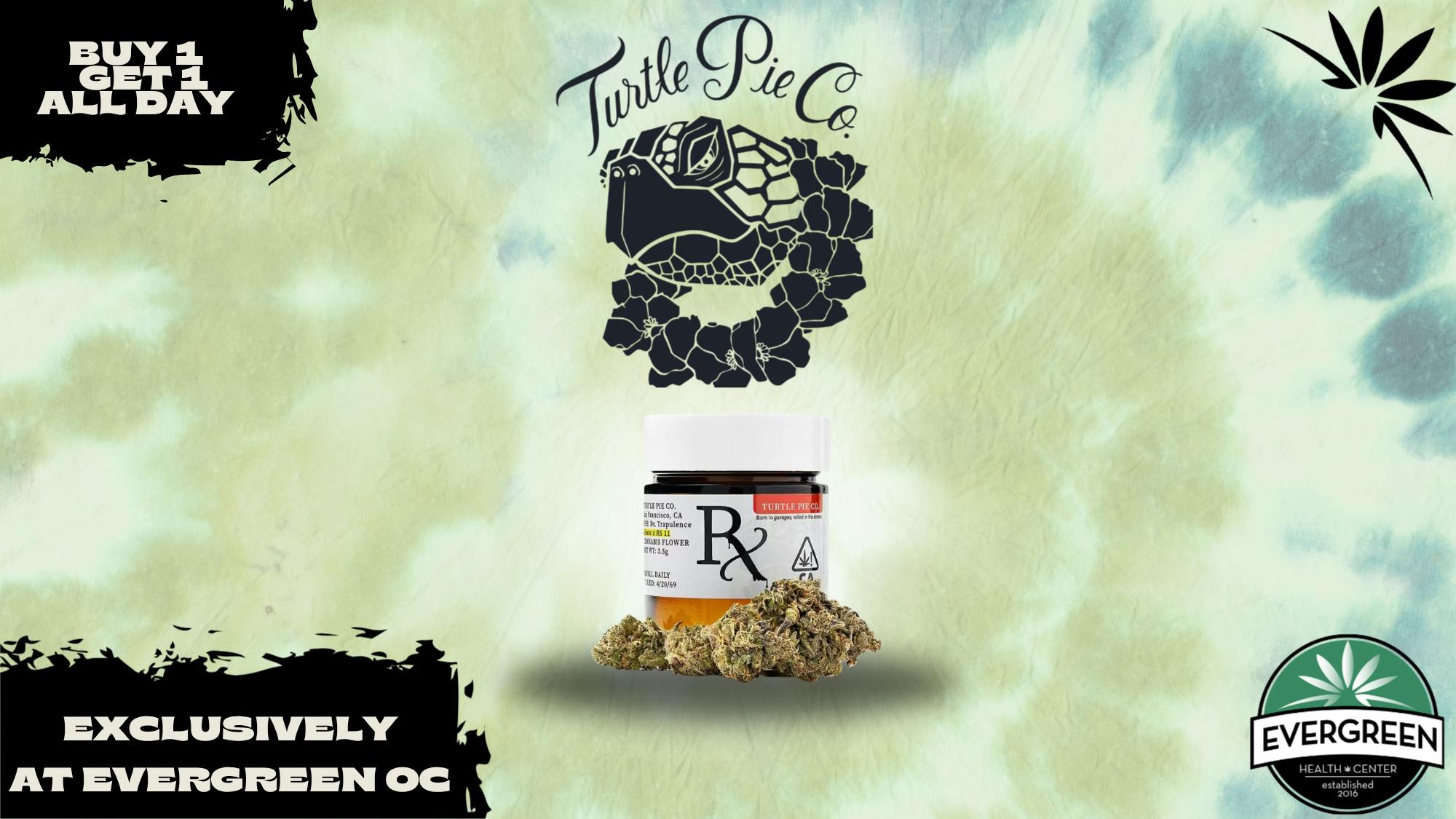 Evergreen OC ‼️Turtle Pie BOGO‼️