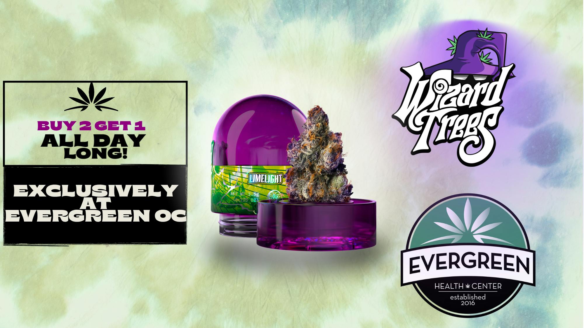 Evergreen OC ‼️Wizard Trees Buy 2 Get 1‼️