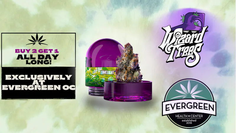 Evergreen OC ‼️Wizard Trees Buy 2 Get 1‼️