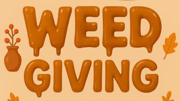 Hit&Run GET UP TO 70% OFF ON YOUR ORDER +🎁+FREE DELIVERY