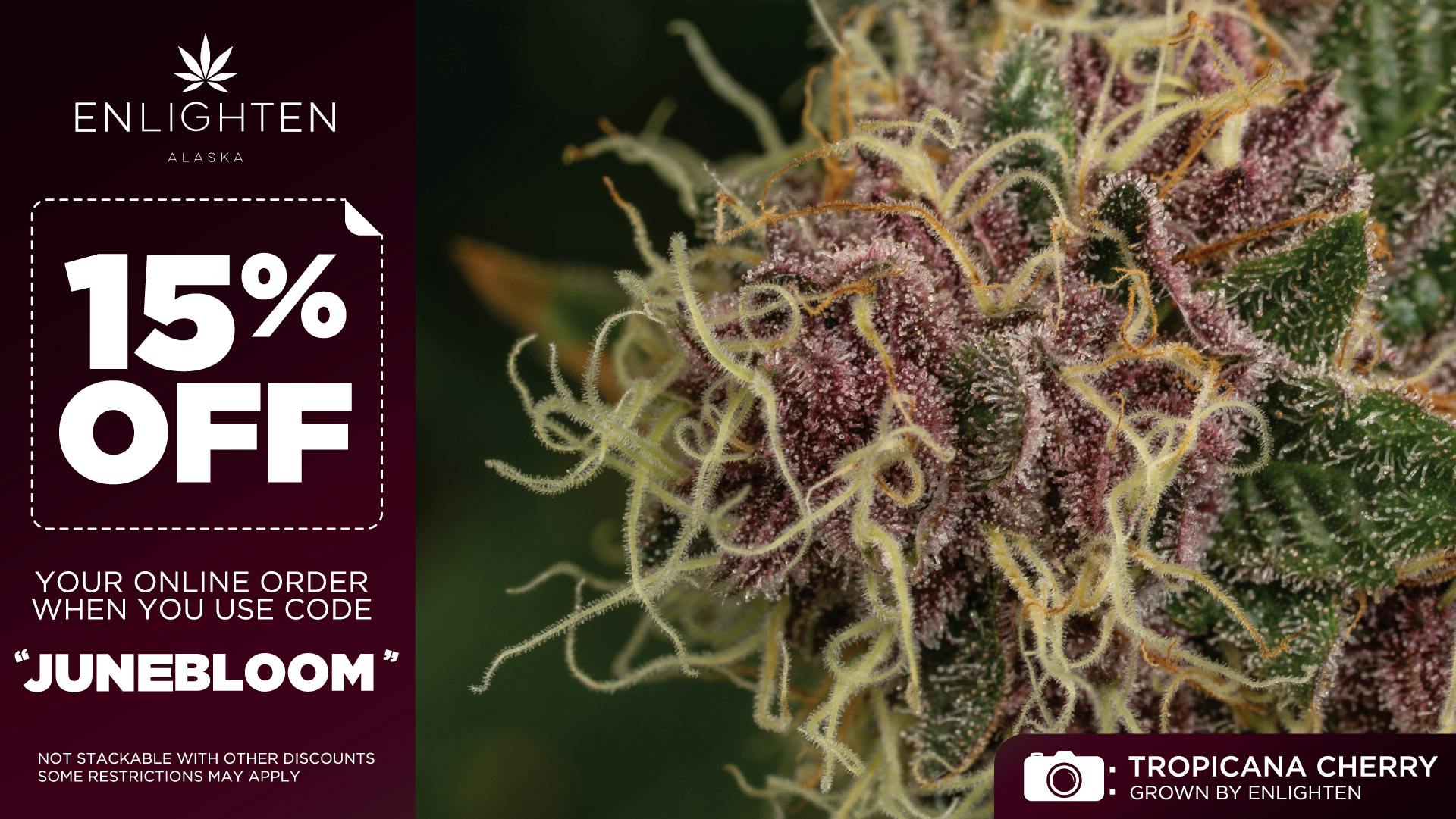 Enlighten - Spenard Get 15% off your order with code "JUNEBLOOM"