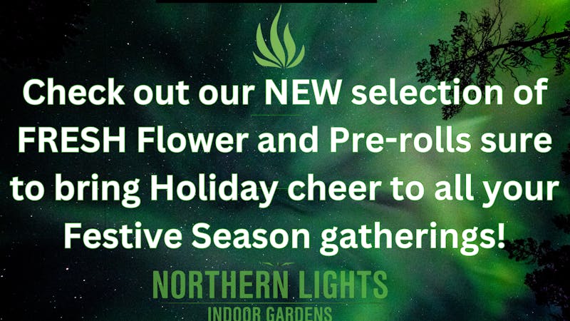Northern Lights Indoor Gardens NEW Flower & Pre-rolls in stock!