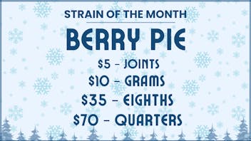 Northern Lights Indoor Gardens Strain of the Month Special