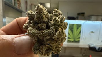 Higher Grade - Downtown **$99 Any Higher Grade REC Silver Shelf Oz OTD**
