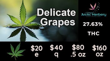 Arctic Herbery $20e-$160oz Multiple Strains 21%-27% & 31% at $30e